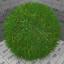 Download the Realistic Grass material from the Fibre/Fur category for blender